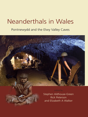 cover image of Neanderthals in Wales